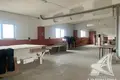 Producción 280 m² en Ciuchinicy, Belarús