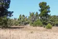 Land 12 000 m² Kassandra Municipality, Greece