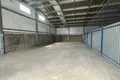 Office 6 rooms 144 m² in Ratamka, Belarus
