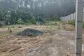 Land  Si Sunthon, Thailand