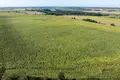 Parcelas 448 500 m² Lubowice, Polonia