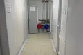 Zakład produkcyjny 412 m² Chołopienicze, Białoruś
