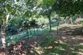 Земельные участки  Салибаури, Грузия