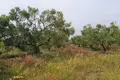 Land 1 room  Nikiti, Greece