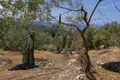 Parcelas 1 habitación  Perithia, Grecia