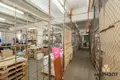 Manufacture 5 285 m² in Minsk, Belarus