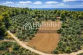 Grundstück 8 000 m² Nea Roda, Griechenland