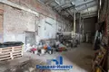 Magazyn 1 246 m² Stare Sioło, Białoruś