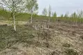 Grundstück 1 000 m² Bogorodsky District, Russland
