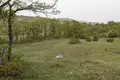 Parcelas  Ambrolauri Municipality, Georgia