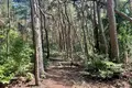 Land 2 392 m² Puszczykowo, Poland
