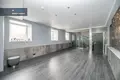 Gewerbefläche 345 m² in Vilnius, Litauen