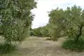 Działki 1 pokój  Kassandra Municipality, Grecja