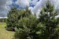 Maison 45 m² Orlovskij municipalnyj okrug, Russie