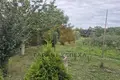 Haus 39 m² Chmielieuski sielski Saviet, Belarus