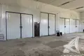 Manufacture 267 m² in Brest, Belarus