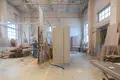 Apartment 550 m² Rydzyna, Poland