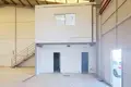 Lager 516 m² Sant Vicent del Raspeig San Vicente del Raspeig, Spanien