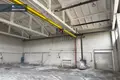 Commercial property 563 m² in Alytus, Lithuania
