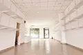Propiedad comercial 120 m² en Podgorica, Montenegro