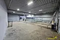 Nieruchomości komercyjne 3 pokoi 222 m² w Mińsk, Białoruś