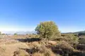 Land  Kritsa, Greece