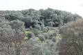 Land 1 room  Kariotiko, Greece