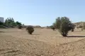 Land  Latsia, Cyprus