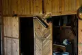 House 53 m² Pahost, Belarus