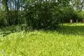 Land  Aliachnovicki sielski Saviet, Belarus