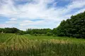 Parcelas 31 500 m² Buszewo, Polonia