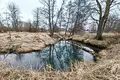 Parcelas  Chaciezynski sielski Saviet, Belarús