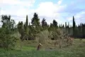 Land 1 room 65 m² Souleika, Greece