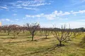 Atterrir 5 400 m² Nea Triglia, Grèce