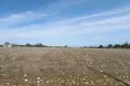 Land 1 room 35 000 m² Litochoro, Greece