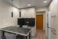 1 room apartment 41 m² Fanipal, Belarus