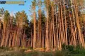 House 70 m² Zasulle, Belarus
