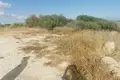 Atterrir  Mandria, Chypre