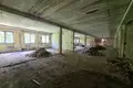 Commercial property 2 491 m² in Pleshchanitsy, Belarus