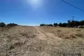 Land  Timi, Cyprus