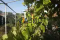 Dom 3 pokoi 77 m² Lozarevo, Bułgaria