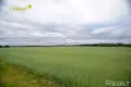 House 50 m² Kliannik, Belarus