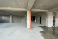 Gewerbefläche 300 m² Tiflis, Georgien