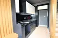 Mieszkanie 1 pokój 95 m² Demirtas, Turcja
