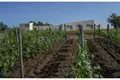 Atterrir 100 000 m² Golas, Croatie