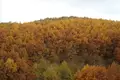 Działki 1 pokój  Agios Prodromos, Grecja
