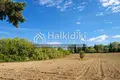 Atterrir 6 000 m² Kalandra, Grèce