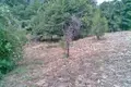 Działki 1 pokój  Mouresi, Grecja