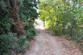 Land 1 room 6 500 m² Kariotiko, Greece