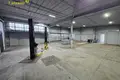 Propiedad comercial 222 m² en Minsk, Belarús